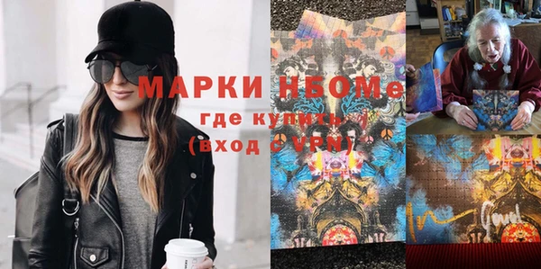 прущие грибы Краснослободск